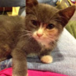 Meet your Posher, Badgers008